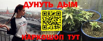 ГАЛЛЮЦИНОГЕННЫЕ ГРИБЫ Пугачёв