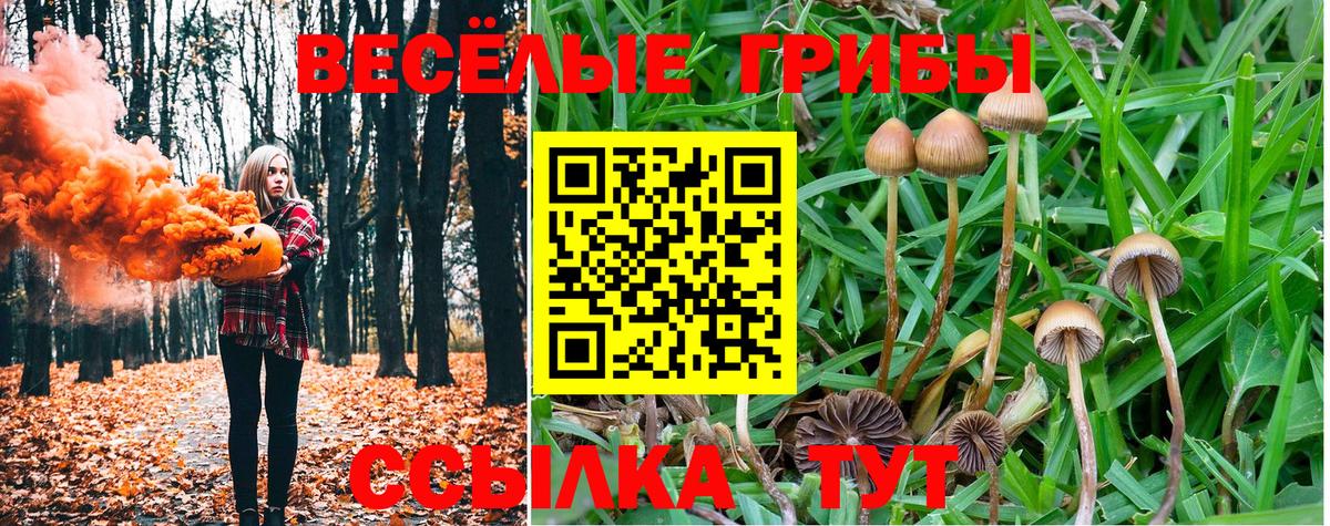 Рязань  Галлюциногенные грибы мухоморы  Вход с VPN 